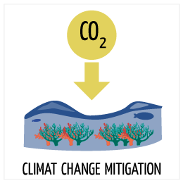 Climate change mitigation