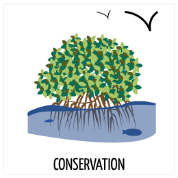 Conservation