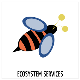 Protection of Ecosystem services